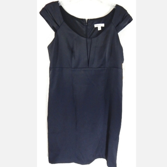 Coldwater Creek Cap Sleeve Sheath Dress - Picture 1 of 4